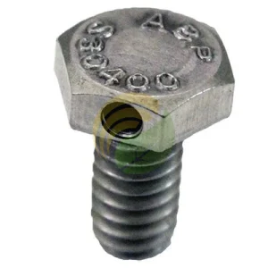 Stainless Steel Drilled Hex Head Bolts