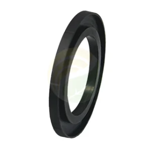 2" FP Skirted Flange Gasket